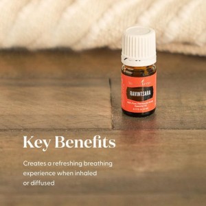 個人分享Ravintsara羅文沙葉精油